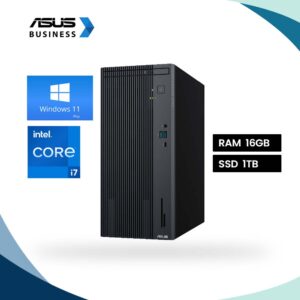 DESKTOP ASUS P500MV-13620H0790
